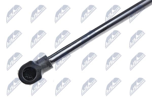 Tailgate strut NTY AE-TY-012
