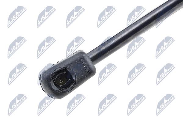 Tailgate strut NTY AE-TY-014
