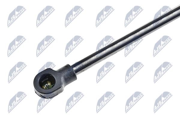 Tailgate strut NTY AE-TY-019