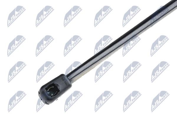 Tailgate strut NTY AE-TY-020