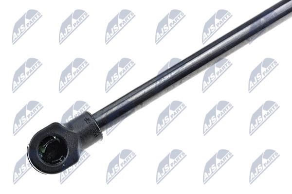 Tailgate strut NTY AE-TY-021