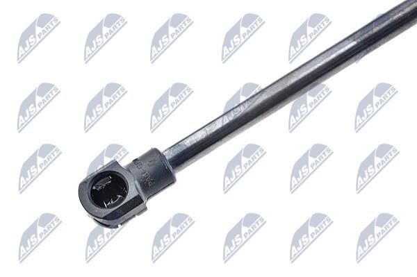 Tailgate strut NTY AE-TY-023