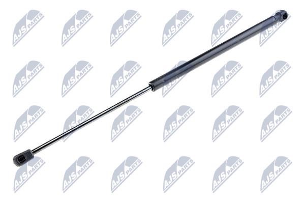 AEVV015 NTY Tailgate strut