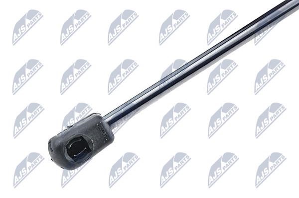 Tailgate strut NTY AE-VV-015