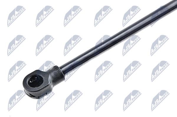 Tailgate strut NTY AE-VV-016