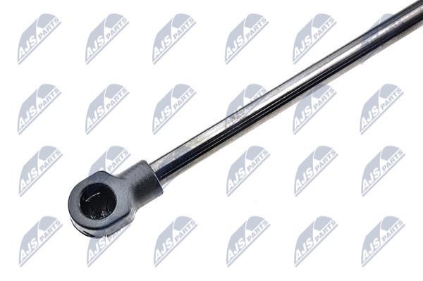 Gas Spring, boot-&#x2F;cargo area NTY AE-VW-002