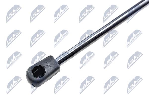 Gas Spring, boot-&#x2F;cargo area NTY AE-VW-004