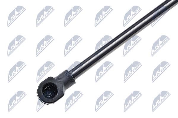 Gas Spring, boot-&#x2F;cargo area NTY AE-VW-006