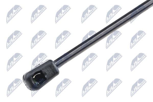 Tailgate strut NTY AE-VW-007
