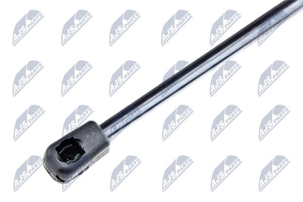 Gas Spring, boot-&#x2F;cargo area NTY AE-VW-008