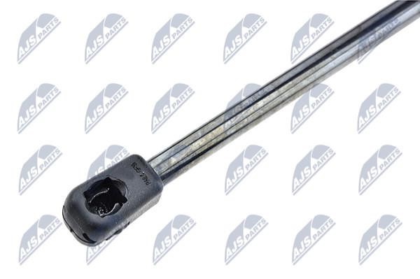 Gas Spring, boot-&#x2F;cargo area NTY AE-VW-010