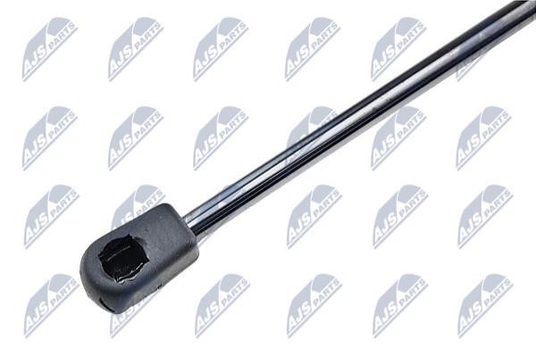 Gas Spring, boot-&#x2F;cargo area NTY AE-VW-015