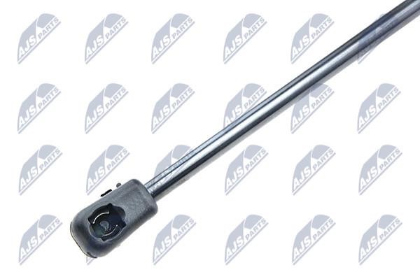Gas Spring, boot-&#x2F;cargo area NTY AE-VW-019