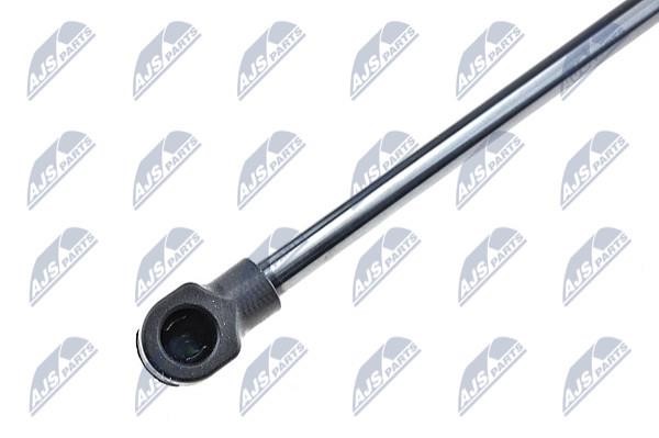 Gas Spring, boot-&#x2F;cargo area NTY AE-VW-053