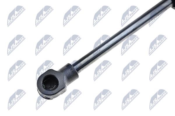 Gas Spring, boot-&#x2F;cargo area NTY AE-VW-062
