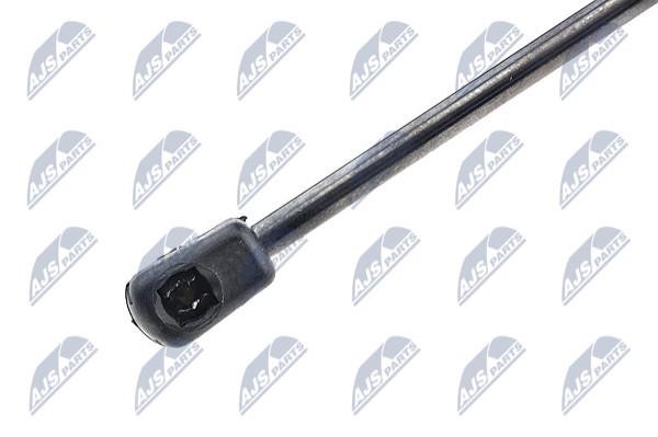 Tailgate strut NTY AE-VW-070