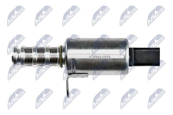 Valve of the valve of changing phases of gas distribution NTY EFR-BM-002