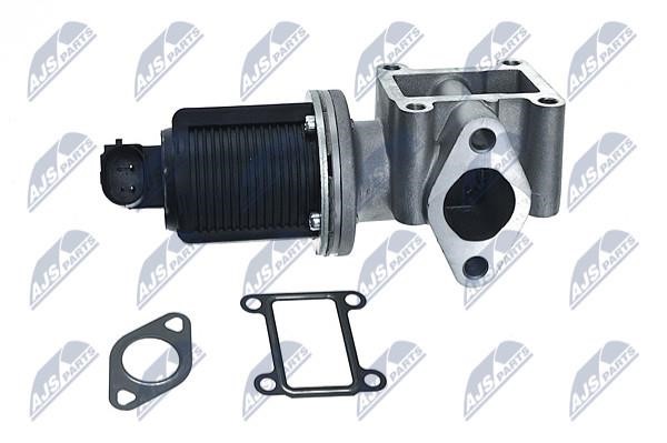 Buy NTY EGR-AR-000 at a low price in United Arab Emirates!