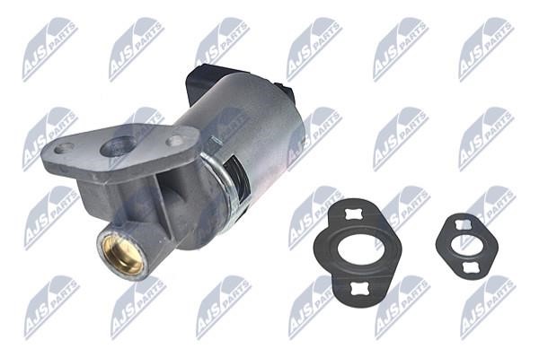 Buy NTY EGR-CH-013 at a low price in United Arab Emirates!