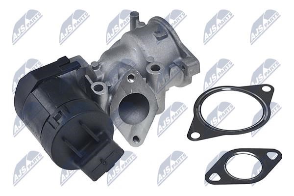 Buy NTY EGR-CT-002 at a low price in United Arab Emirates!