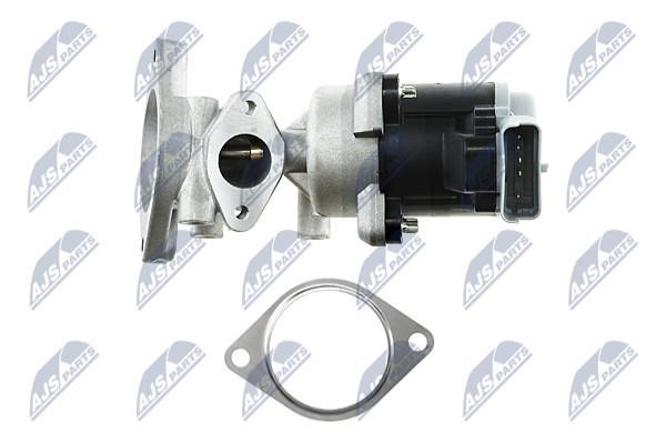 Buy NTY EGR-LR-002 at a low price in United Arab Emirates!