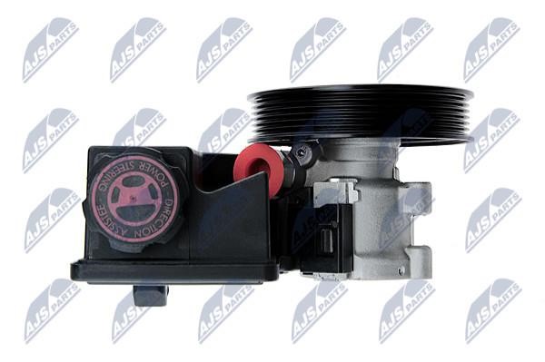 Hydraulic Pump, steering system NTY SPW-CH-036