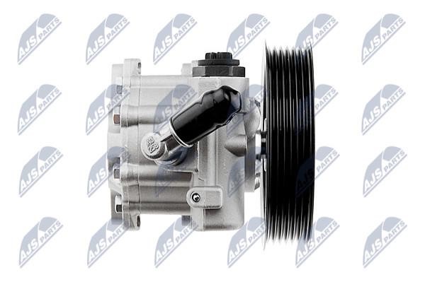 Hydraulic Pump, steering system NTY SPW-PL-010