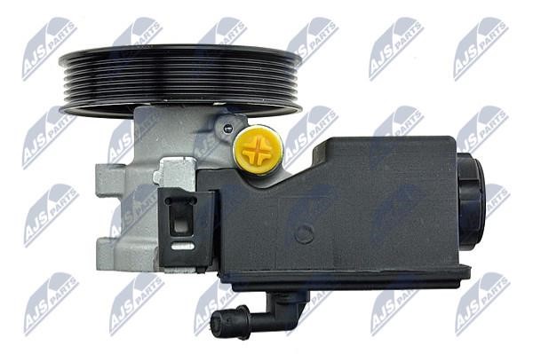 Hydraulic Pump, steering system NTY SPW-PL-011