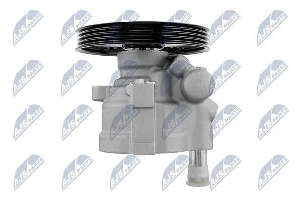 Hydraulic Pump, steering system NTY SPW-RE-013