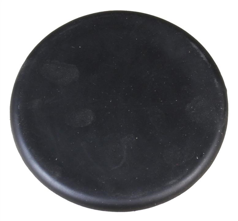51873885 Fiat/Alfa/Lancia Plug