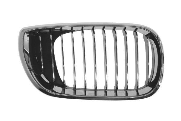 Radiator grille BMW 3 series: 6502070061994AP Blic Grille radiator