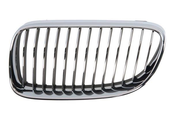 65020700629915PP Blic Grille radiator