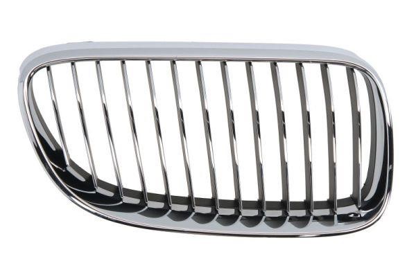 65020700629916PP Blic Grille radiator