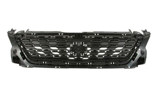 Blic 6502-07-6623990Q Grille radiator 6502076623990Q