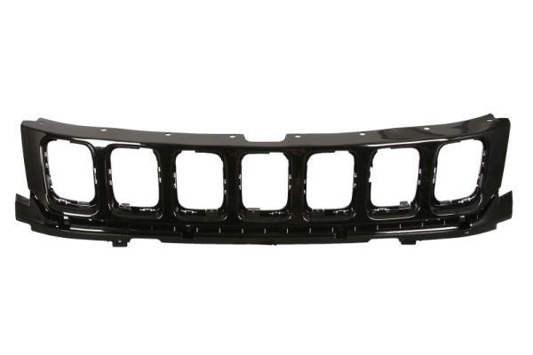 6502073217993P Blic Grille radiator