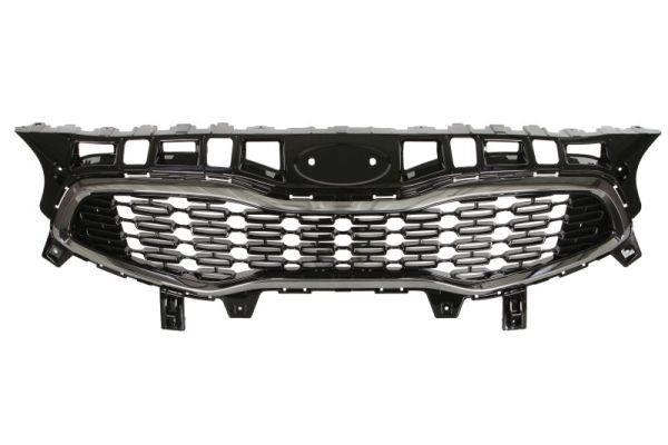 Radiator grille KIA Pro Cee'D (Kia Pro Cee'D): 6502073268991P Blic Grille radiator