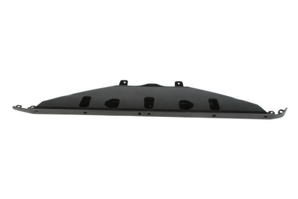Front panel BMW: 6502080067200P Blic Front panel