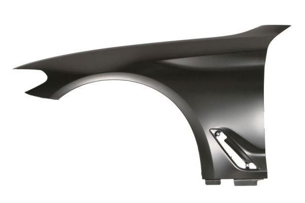 Front fender BMW 5 series: 6504040068313P Blic Front fender left