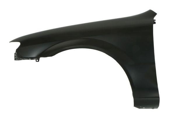 6504043475317P Blic Front fender left