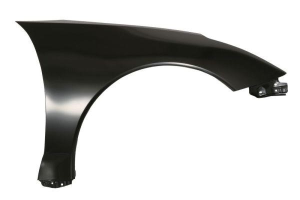 Front wing panel Toyota: 6504048149312P Blic Front fender right