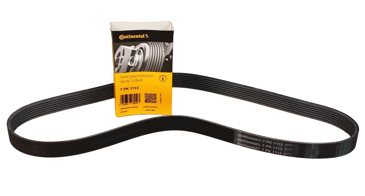 Buy Contitech 7PK1113 at a low price in United Arab Emirates!