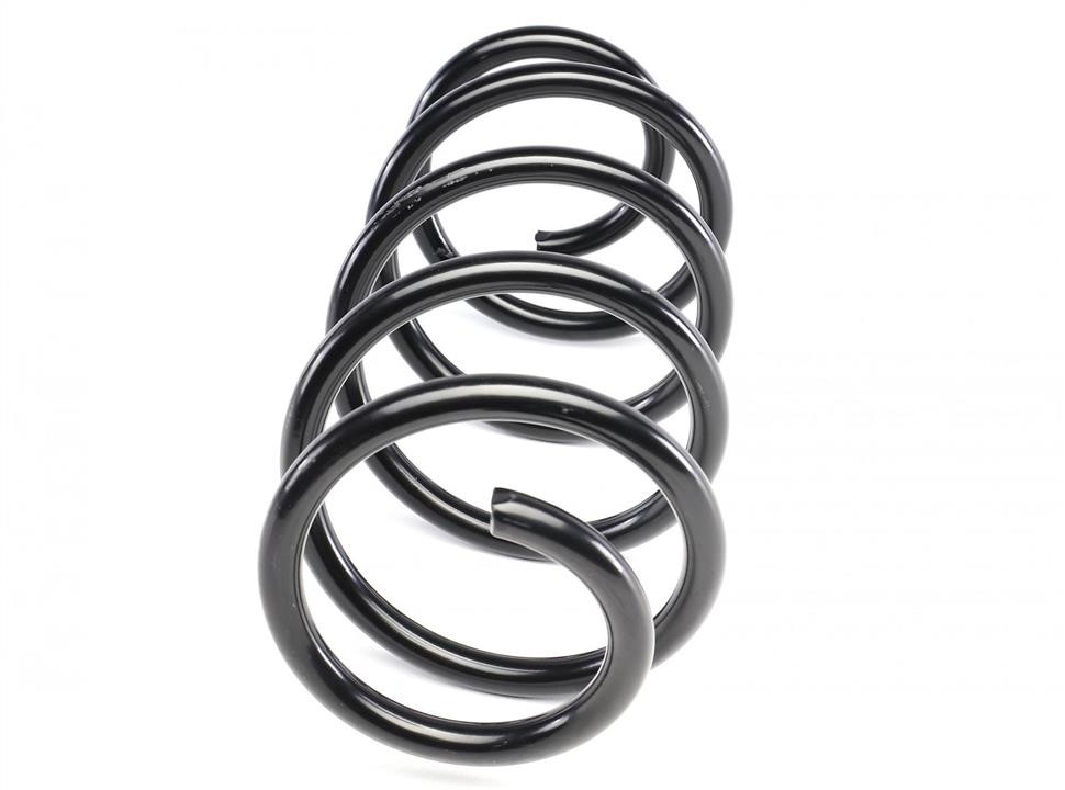Solgy Suspension spring front – price
