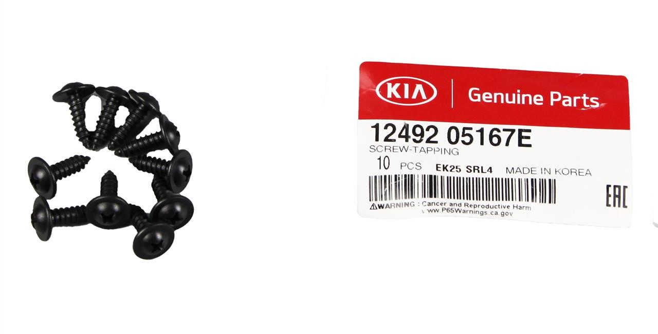 Buy Hyundai/Kia 12492 05167E at a low price in United Arab Emirates!