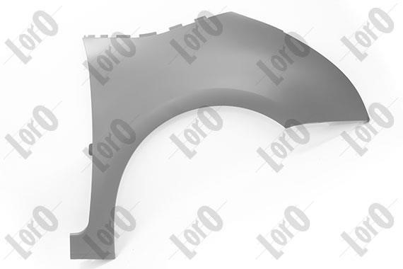 Abakus 009-17-202 Front fender right 00917202