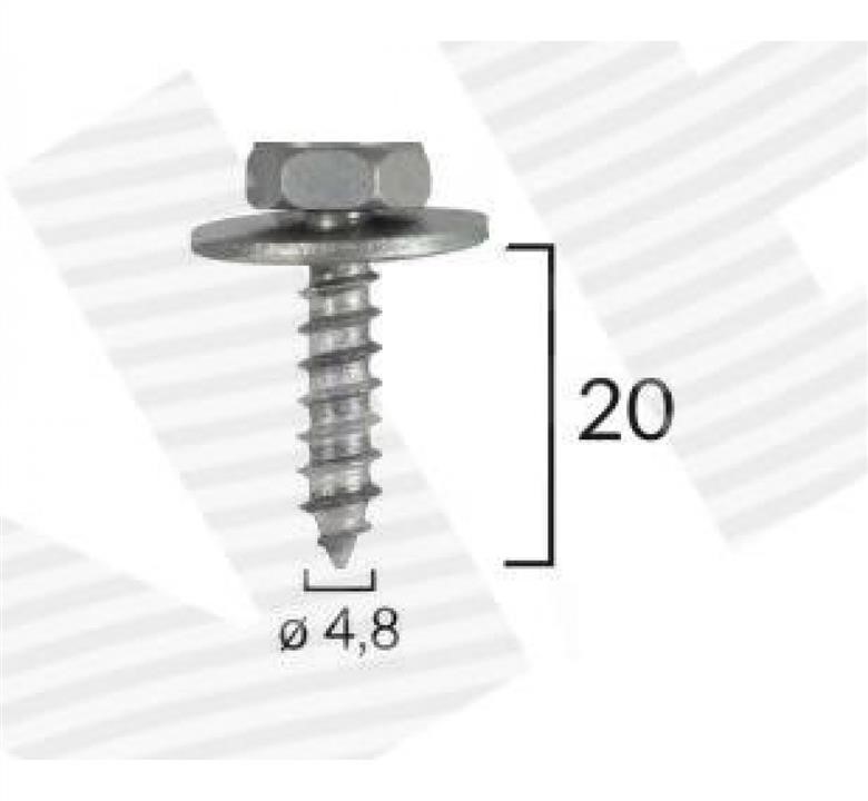 Signeda T60611(10) Self tapping screw T6061110