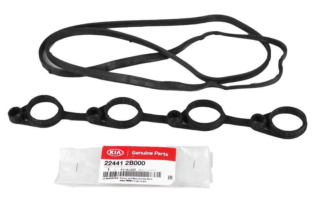 Rocker cover gasket Hyundai/Kia 22441 2B000