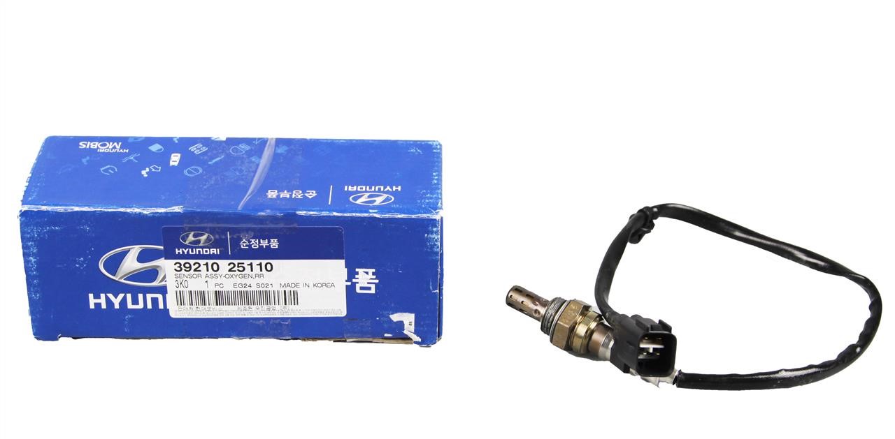 Buy Hyundai/Kia 39210 25110 at a low price in United Arab Emirates!