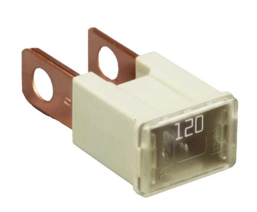 2437079915 Nissan Fuse