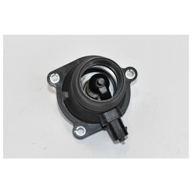 ASAM 77174 Thermostat, coolant 77174