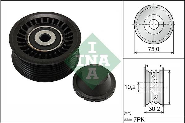 INA 532 0668 10 Idler Pulley 532066810